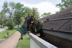 Leaves clogging gutters can lead to roof leaks